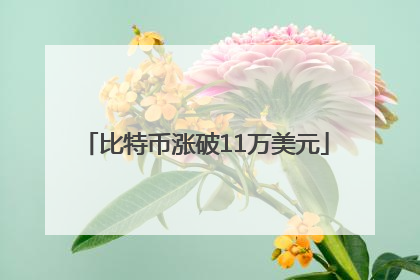 比特币涨破11万美元