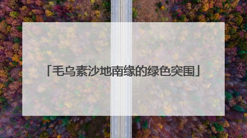 毛乌素沙地南缘的绿色突围