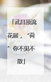 武昌顶流花展，“荷”你不见不散
