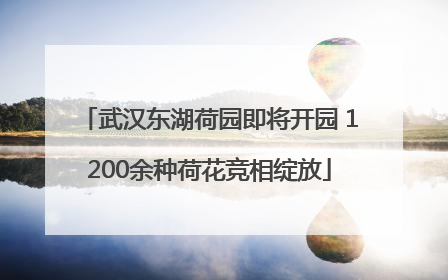 武汉东湖荷园即将开园 1200余种荷花竞相绽放
