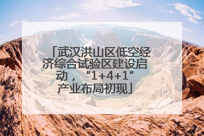 武汉洪山区低空经济综合试验区建设启动，“1+4+1”产业布局初现