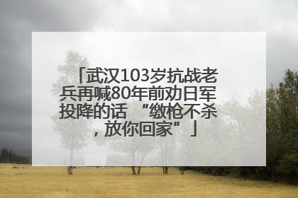 武汉103岁抗战老兵再喊80年前劝日军投降的话 “缴枪不杀，放你回家”