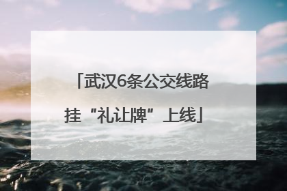 武汉6条公交线路挂“礼让牌”上线