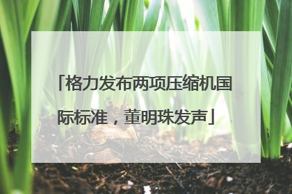 格力发布两项压缩机国际标准，董明珠发声
