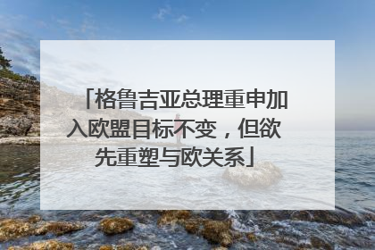 格鲁吉亚总理重申加入欧盟目标不变，但欲先重塑与欧关系