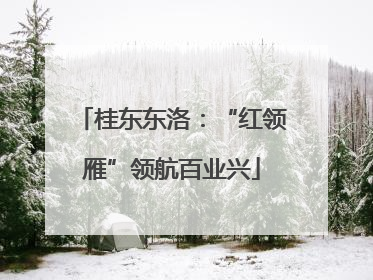 桂东东洛：“红领雁”领航百业兴