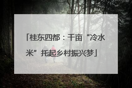 桂东四都：千亩“冷水米”托起乡村振兴梦