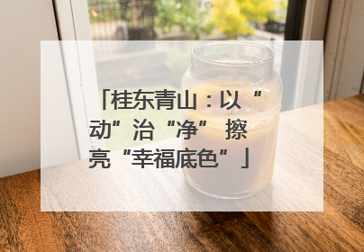 桂东青山：以“动”治“净” 擦亮“幸福底色”