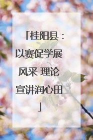 桂阳县：以赛促学展风采 理论宣讲润心田