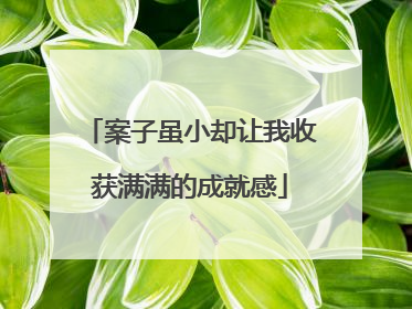 案子虽小却让我收获满满的成就感