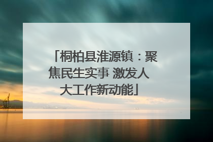 桐柏县淮源镇：聚焦民生实事 激发人大工作新动能