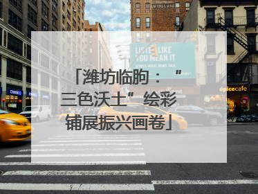 潍坊临朐：“三色沃土”绘彩铺展振兴画卷