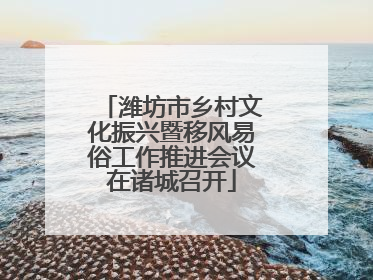 潍坊市乡村文化振兴暨移风易俗工作推进会议在诸城召开