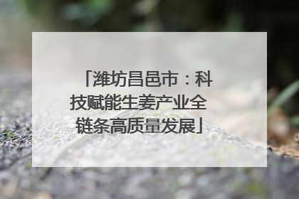 潍坊昌邑市：科技赋能生姜产业全链条高质量发展