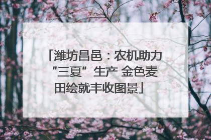 潍坊昌邑：农机助力“三夏”生产 金色麦田绘就丰收图景