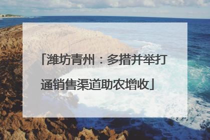 潍坊青州：多措并举打通销售渠道助农增收