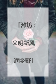 潍坊：文明新风润乡野
