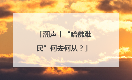 潮声丨“哈佛难民”何去何从？