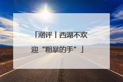 潮评丨西湖不欢迎“粗暴的手”