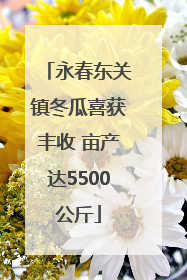 永春东关镇冬瓜喜获丰收 亩产达5500公斤