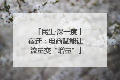 民生·深一度丨宿迁：电商赋能让流量变“增量”