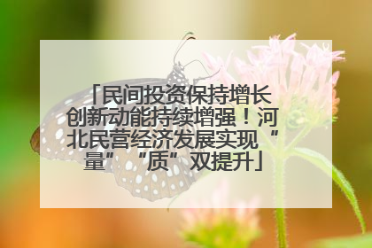 民间投资保持增长 创新动能持续增强！河北民营经济发展实现“量”“质”双提升