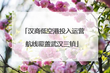汉商低空港投入运营 航线覆盖武汉三镇