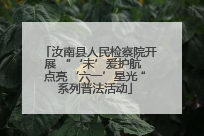 汝南县人民检察院开展 “‘未’爱护航 点亮‘六一’星光 ”系列普法活动