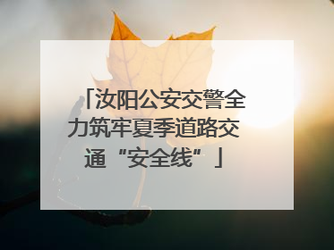 汝阳公安交警全力筑牢夏季道路交通“安全线”