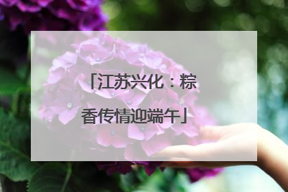 江苏兴化：粽香传情迎端午