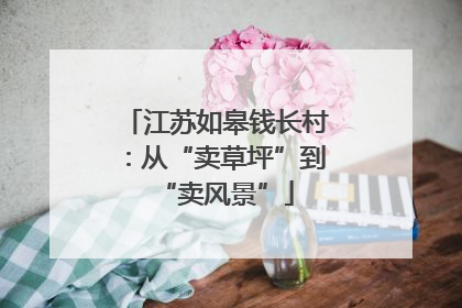 江苏如皋钱长村：从“卖草坪”到“卖风景”