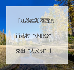 江苏建湖冈西镇肖荡村“小积分”兑出“大文明”
