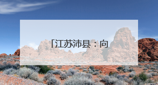 江苏沛县：向“智”求新“煤城”焕新机