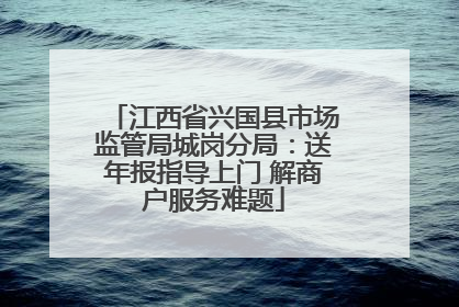 江西省兴国县市场监管局城岗分局：送年报指导上门 解商户服务难题
