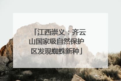 江西崇义：齐云山国家级自然保护区发现蜘蛛新种
