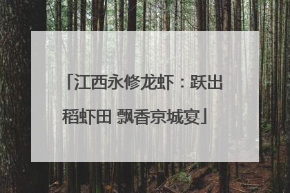 江西永修龙虾：跃出稻虾田 飘香京城宴