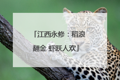 江西永修：稻浪翻金 虾跃人欢