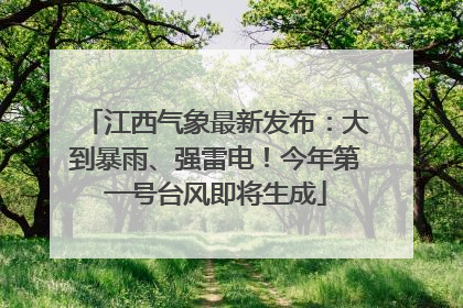 江西气象最新发布：大到暴雨、强雷电！今年第一号台风即将生成