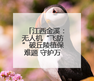 江西金溪：无人机“飞防”破丘陵植保难题 守护万亩早稻丰收