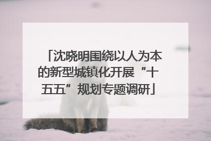沈晓明围绕以人为本的新型城镇化开展“十五五”规划专题调研