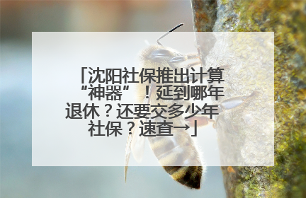 沈阳社保推出计算“神器”！延到哪年退休？还要交多少年社保？速查→