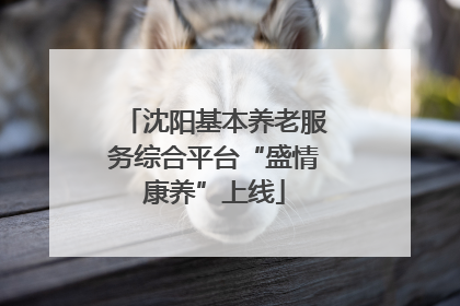 沈阳基本养老服务综合平台“盛情康养”上线