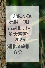 沔阳小镇亮相 “知音湖北，相约大湾区” 2025湖北文旅推介会