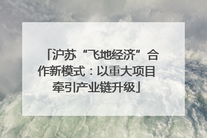沪苏“飞地经济”合作新模式：以重大项目牵引产业链升级
