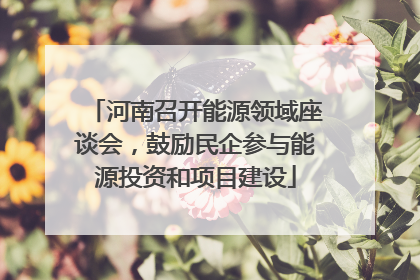 河南召开能源领域座谈会，鼓励民企参与能源投资和项目建设