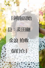 河南固始县：麦田翻金浪 抢收保归仓
