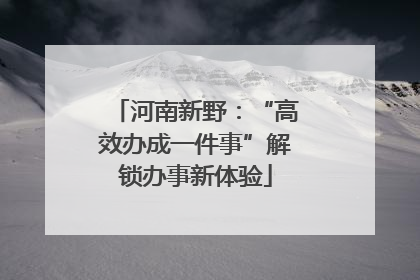 河南新野：“高效办成一件事”解锁办事新体验