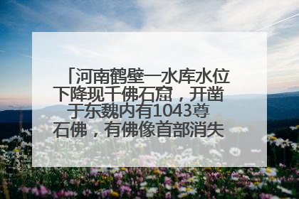 河南鹤壁一水库水位下降现千佛石窟，开凿于东魏内有1043尊石佛，有佛像首部消失，水库管理方回应
