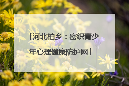 河北柏乡：密织青少年心理健康防护网