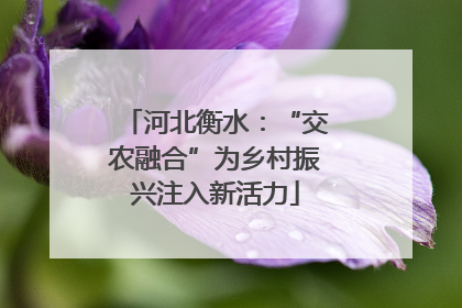 河北衡水：“交农融合”为乡村振兴注入新活力